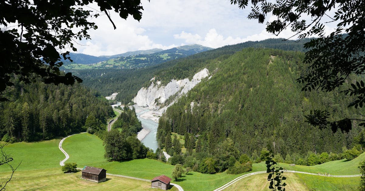 Stunning view of the Swiss Alps with lush greenery and winding river under a bright sky.