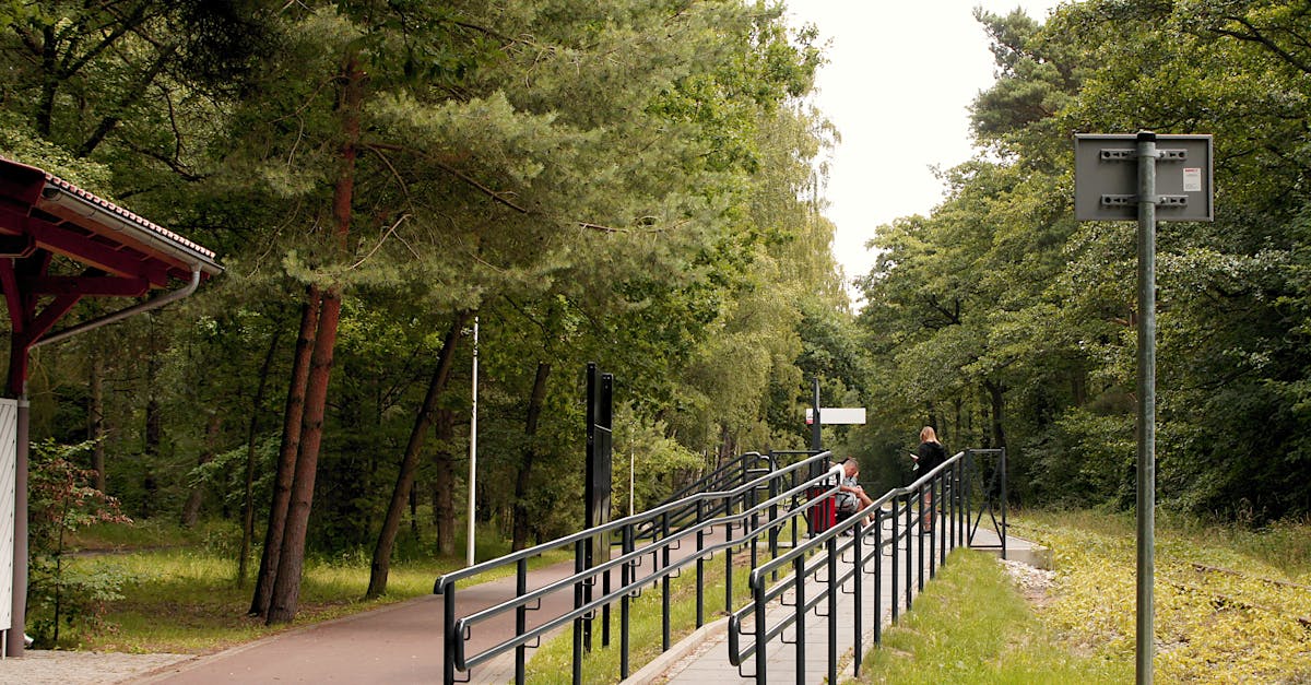 A serene forest path with a railing and walking trail surrounded by lush trees.