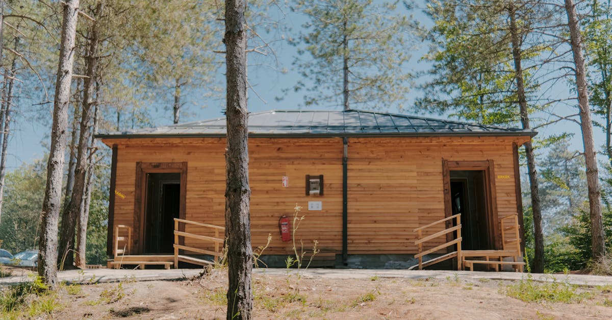 Charming wooden cabin nestled in a peaceful forest, ideal for a summer retreat.