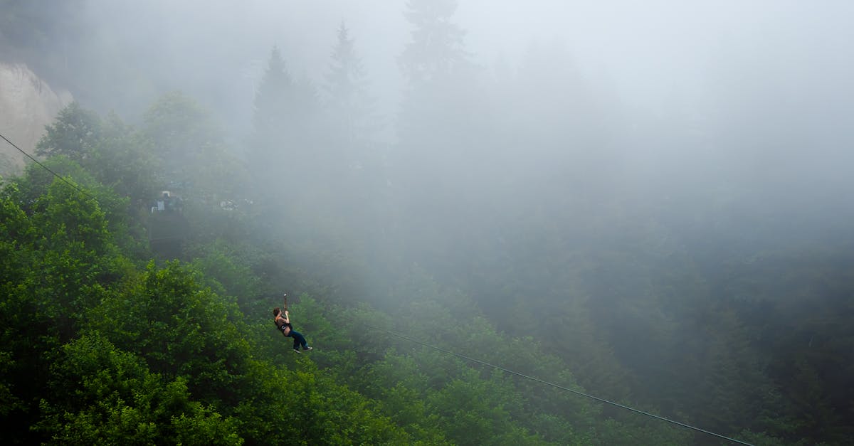 A thrilling zipline ride through the misty forests of Rize, Türkiye, capturing the essence of adventure.