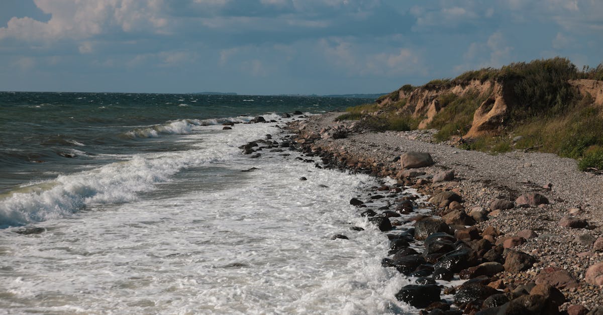 third_section_image_data.image_alt