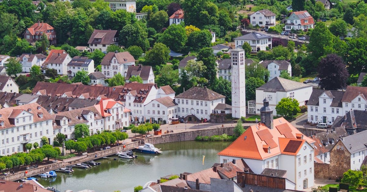 Aerial view of a charming town with a lake, vibrant rooftops, and lush greenery in summer.