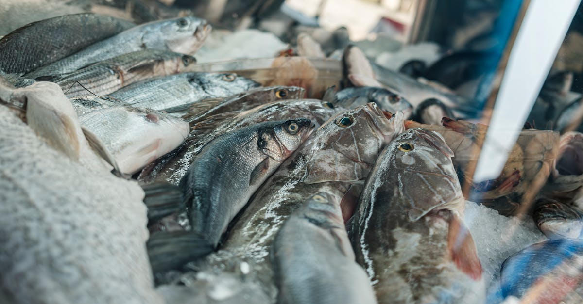 A variety of fresh fish displayed on ice at an outdoor seafood market stall.