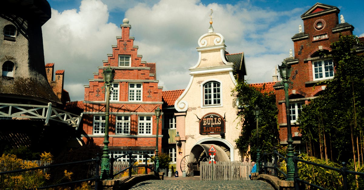 Discover the quaint European architecture of Soltau, Germany, captured on a sunny day.