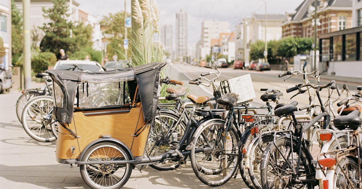 Bicycles parked on a sunny street in The Hague, showcasing sustainable urban transport.