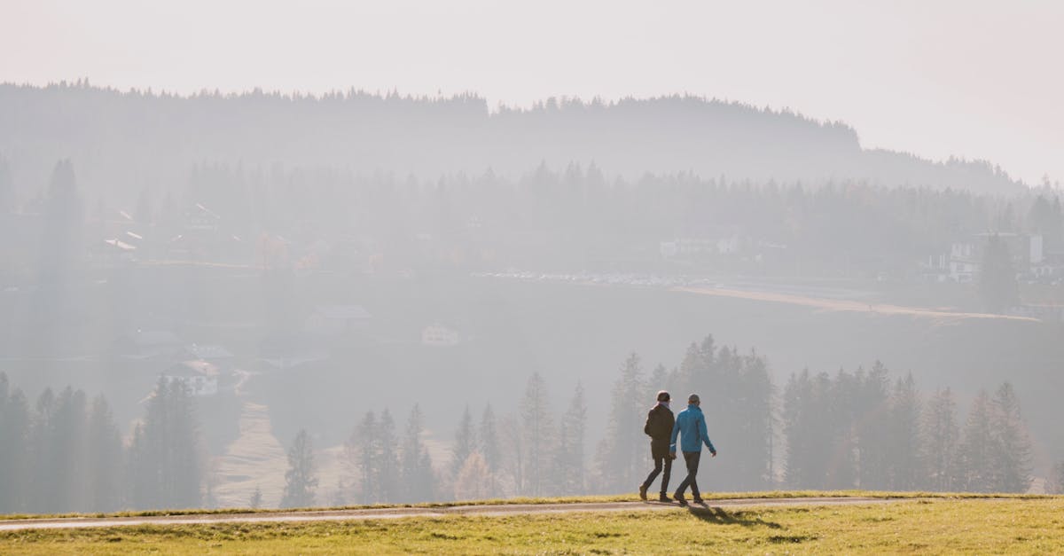 Two people walk on a sunny hillside with distant trees creating a serene landscape.