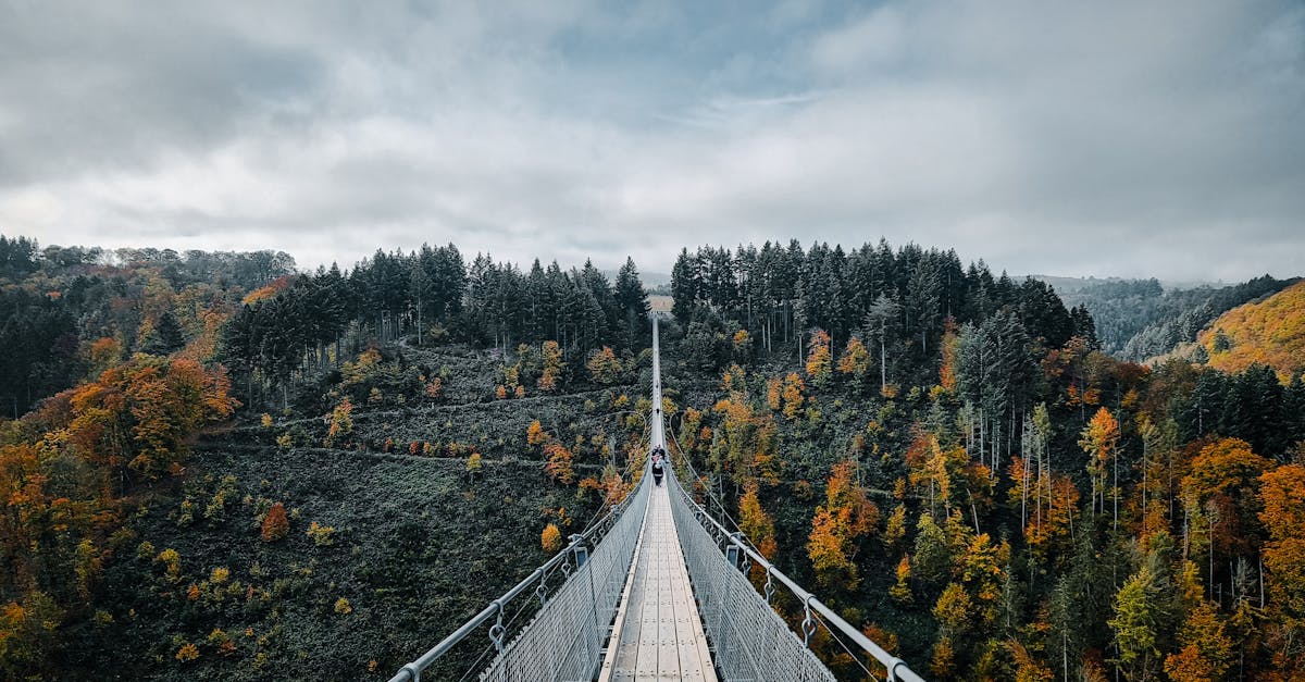 Discover the Geierlay Suspension Bridge amidst vibrant autumn foliage in Germany, perfect for travel and nature enthusiasts.