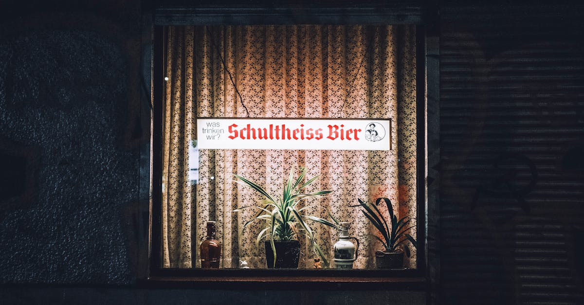 Cozy Berlin pub window display with illuminated sign and plants at night.