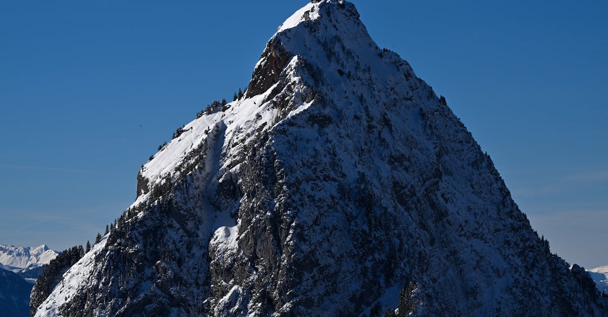 third_section_image_data.image_alt