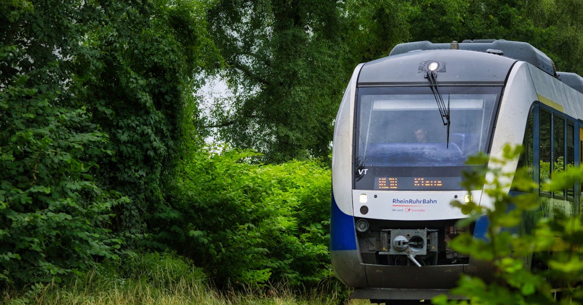 A modern passenger train on tracks surrounded by lush greenery, showcasing travel and transportation.