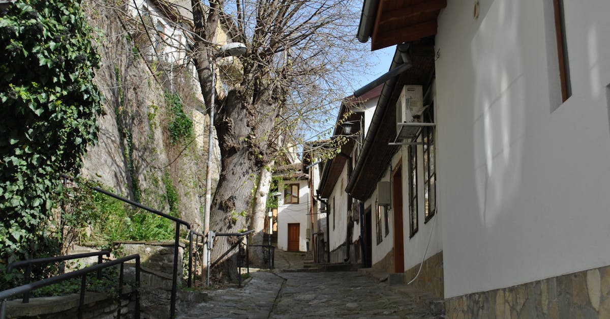 Charming cobblestone street lined with traditional houses and bare trees in an old European town.