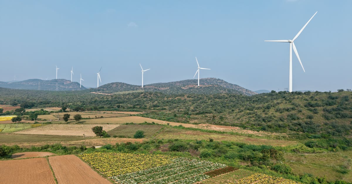 third_section_image_data.image_alt