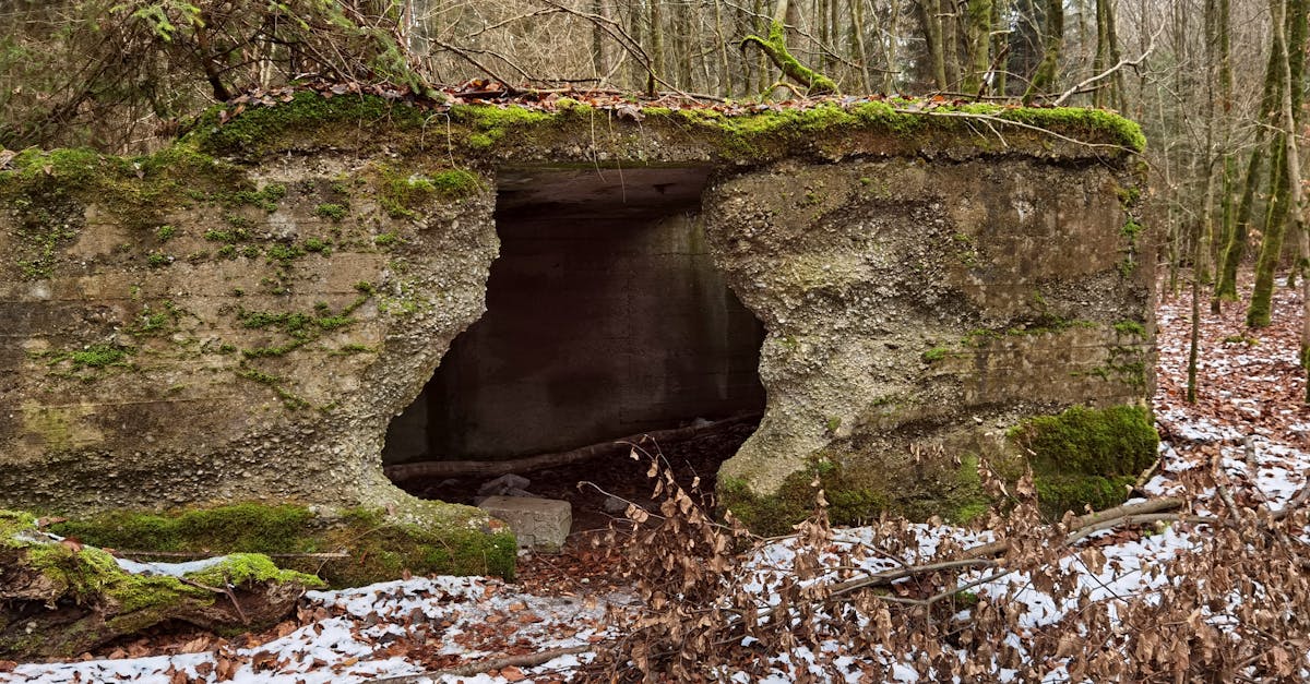 third_section_image_data.image_alt