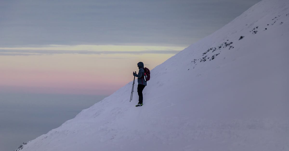 third_section_image_data.image_alt