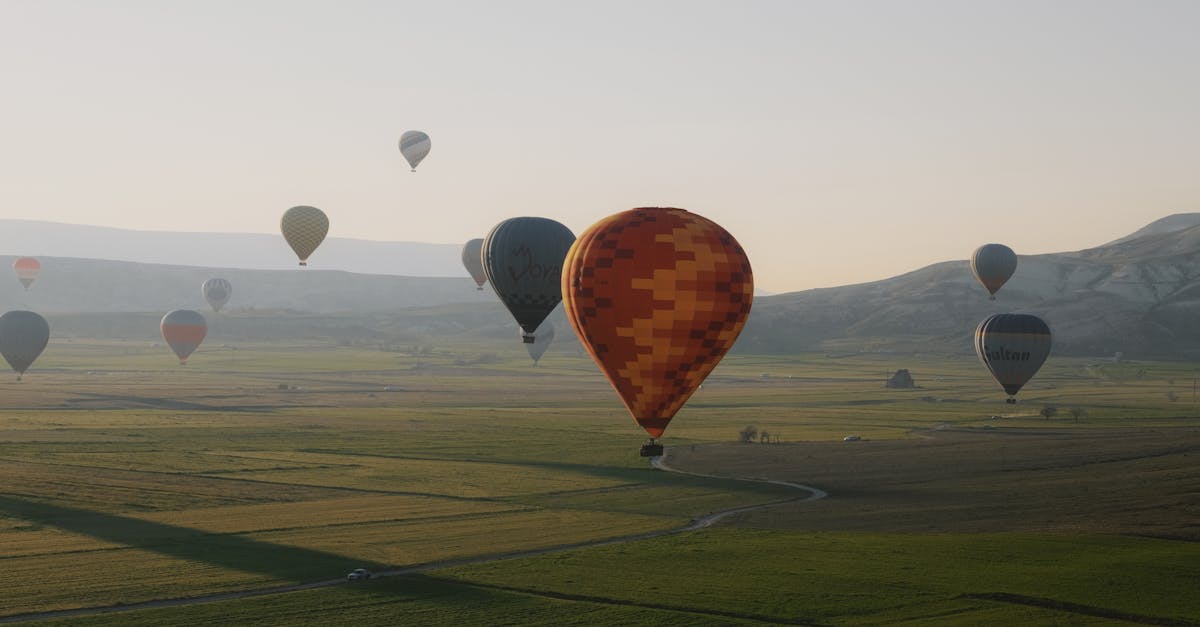 Captivating sight of colorful hot air balloons soaring over open fields at sunrise.
