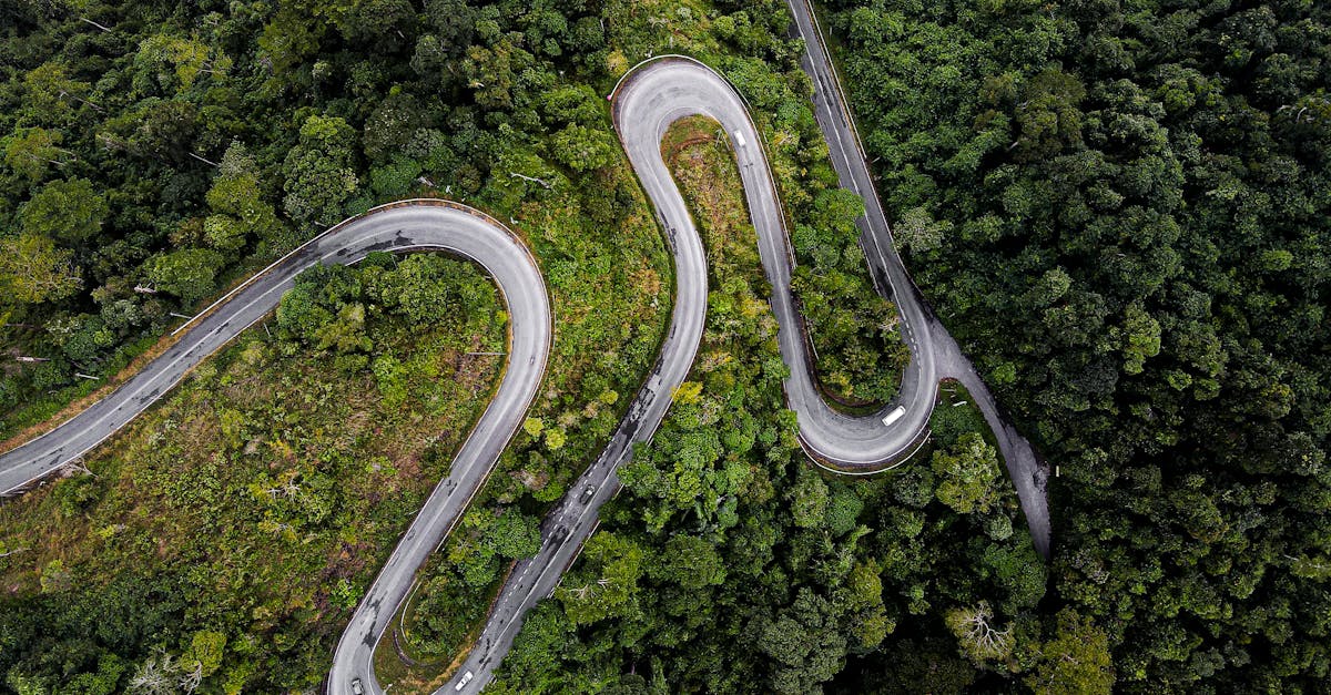 Aerial shot of a winding road cutting through dense green forest.