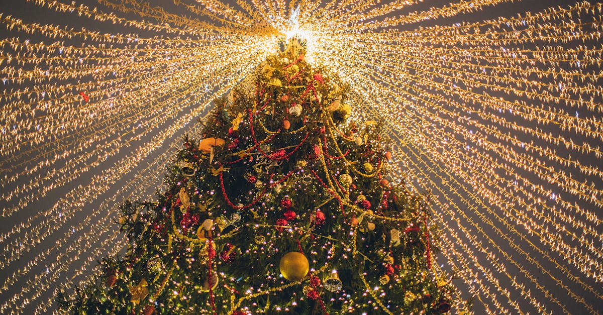A dazzling Christmas tree adorned with lights and baubles, creating a festive and warm holiday atmosphere.