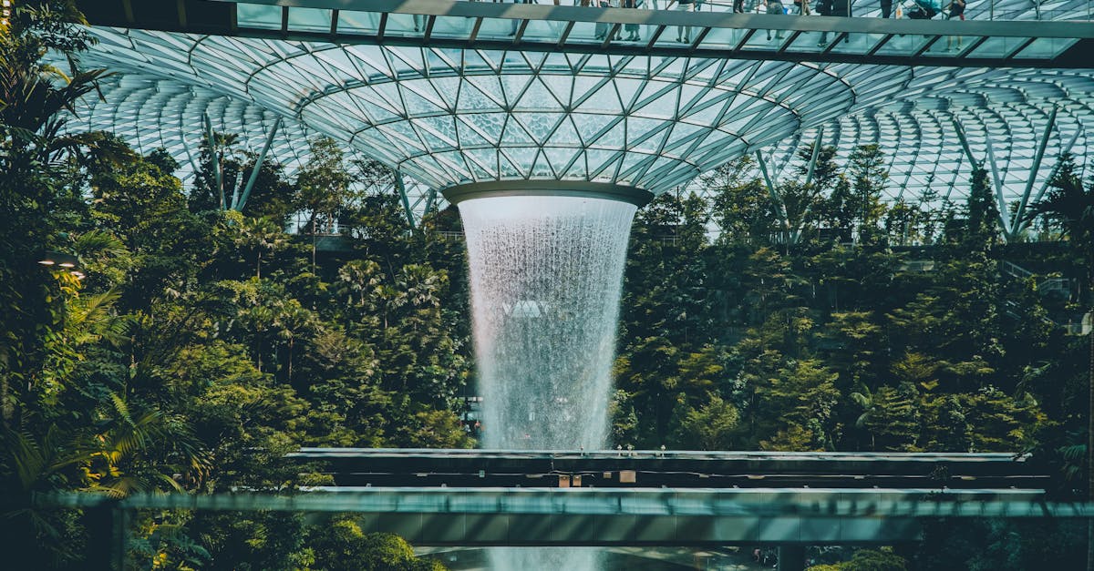 Picturesque view of rapid cascade with pure water flow surrounded by green plants in observatory with unrecognizable tourists on balcony