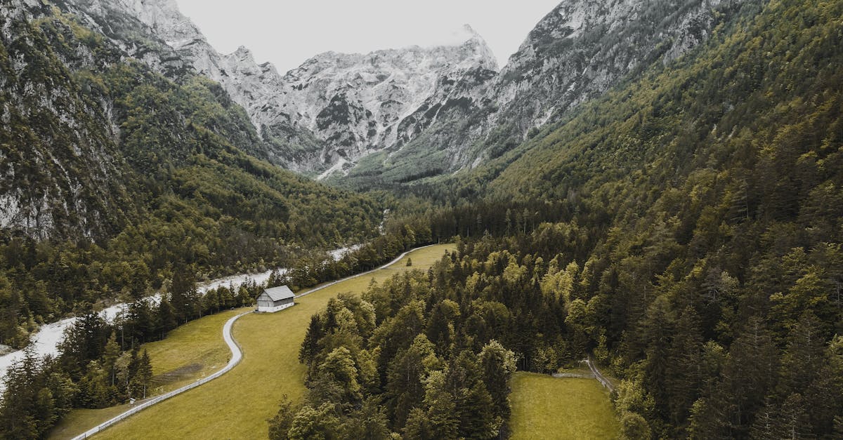 High angle of green valley covered with dense forest and surrounded with high mountains