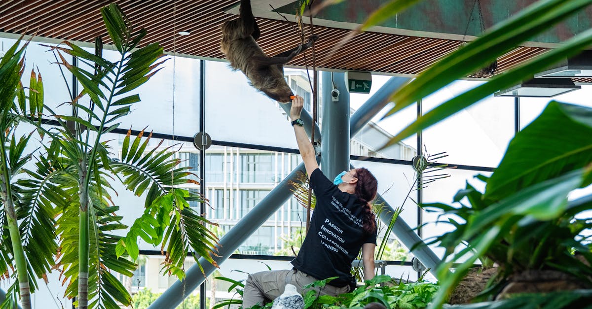 Man reaches to feed a sloth in an indoor jungle-like zoo setting, surrounded by tropical plants.