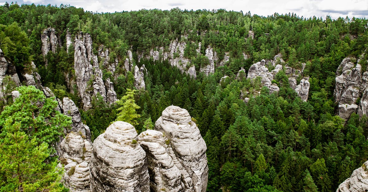 Breathtaking view of towering rock formations surrounded by dense green forest, under a blue sky.