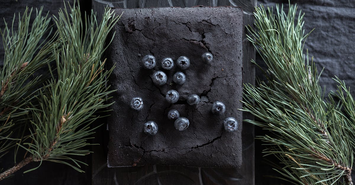 Top view of a dark chocolate cake with fresh blueberries, perfect for a stylish festive celebration.