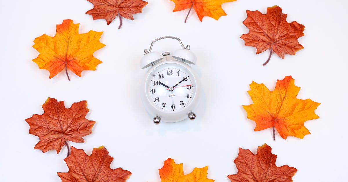 Vintage alarm clock surrounded by vibrant autumn maple leaves on a white background.
