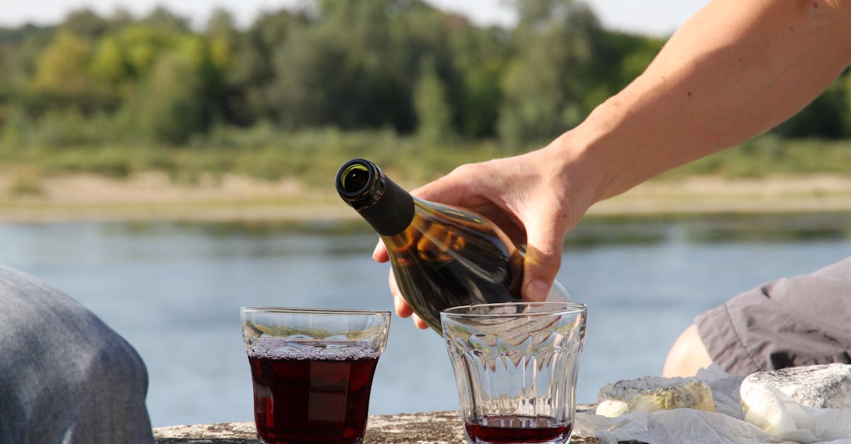 A relaxing outdoor picnic by the lake with wine and cheese, perfect for a summer day.