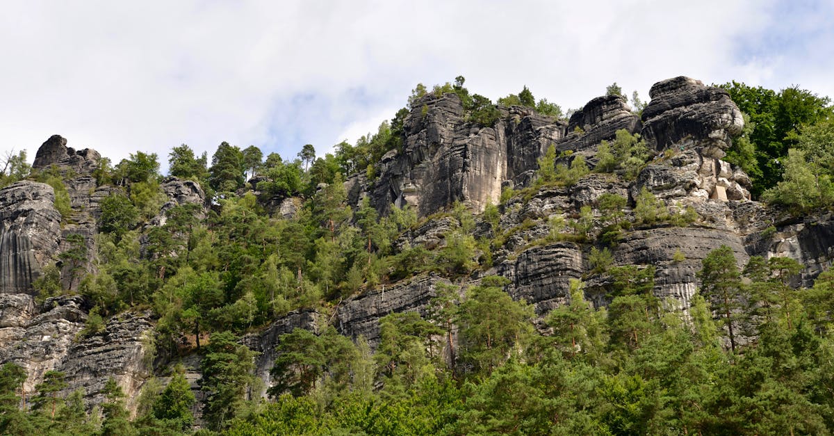 Explore stunning rock formations and lush greenery in Saxon Switzerland, an ideal travel destination.