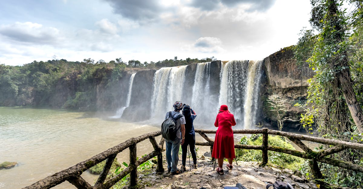 Three backpackers admire a spectacular waterfall in a lush outdoor setting, capturing its beauty.