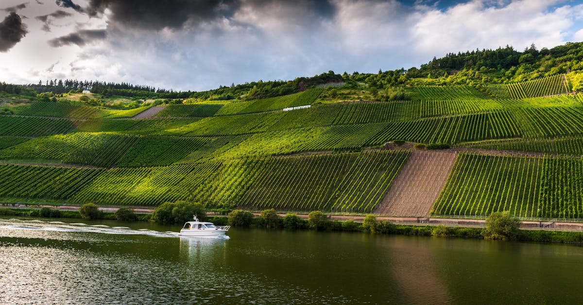 A boat glides along a river beside lush vineyards under dramatic clouds.