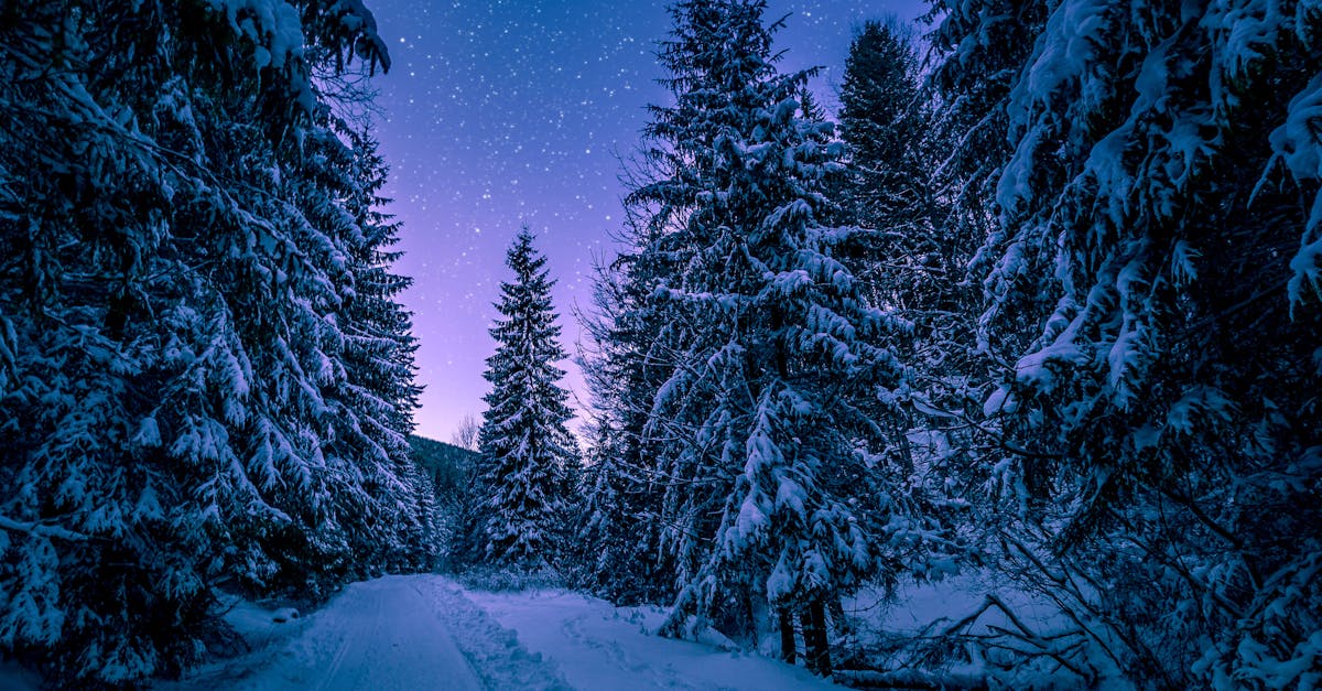 third_section_image_data.image_alt