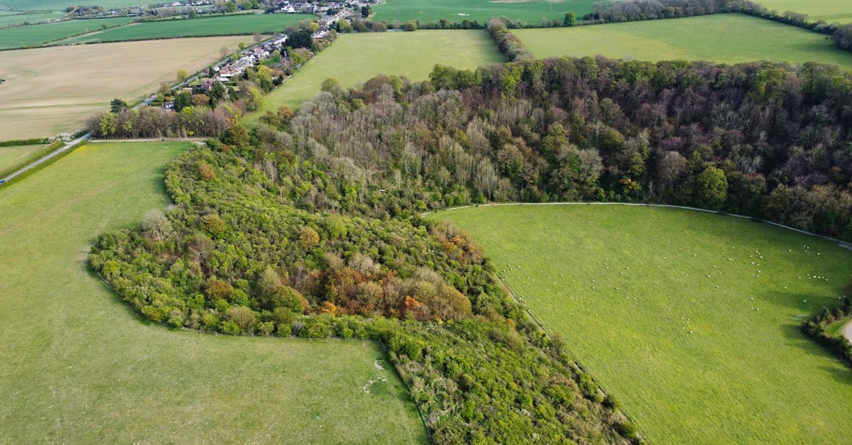 Lush aerial view of green fields and woodlands in Sharpenhoe, UK.