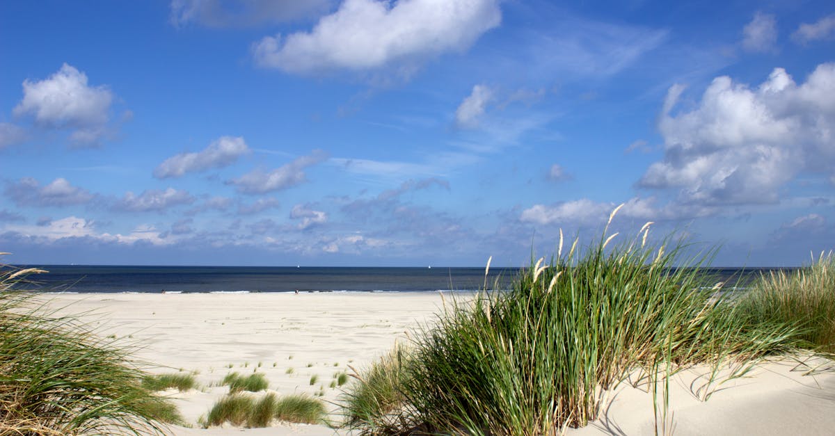 third_section_image_data.image_alt