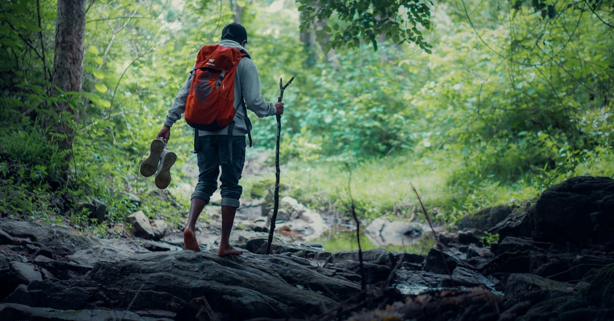 An adventurous hiker walks barefoot through a green forest in Kerala, India, exploring nature with a backpack and walking stick.