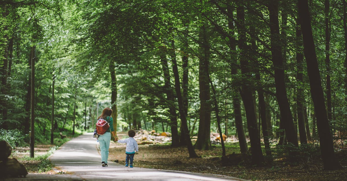 A woman and child walking hand in hand along a forest path. Serene nature scene.