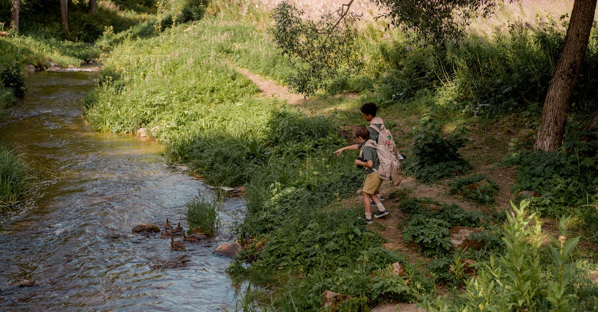 Two boys in scouting uniforms explore a forest path by a stream, enjoying nature.