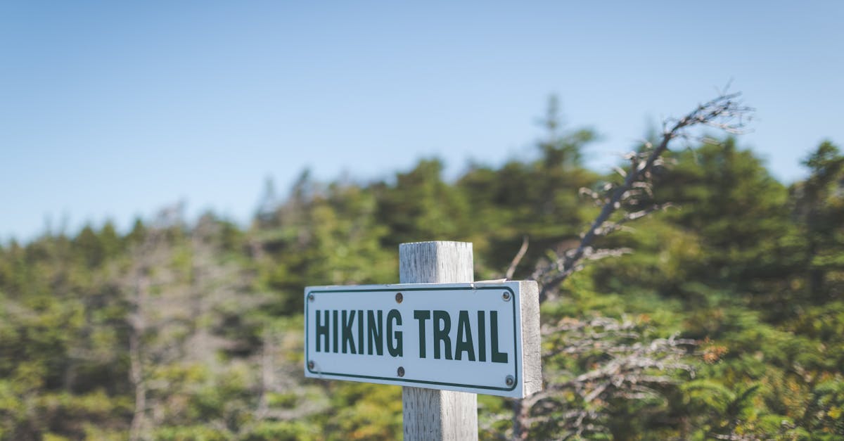 Explore nature on this clearly marked hiking trail surrounded by lush greenery.
