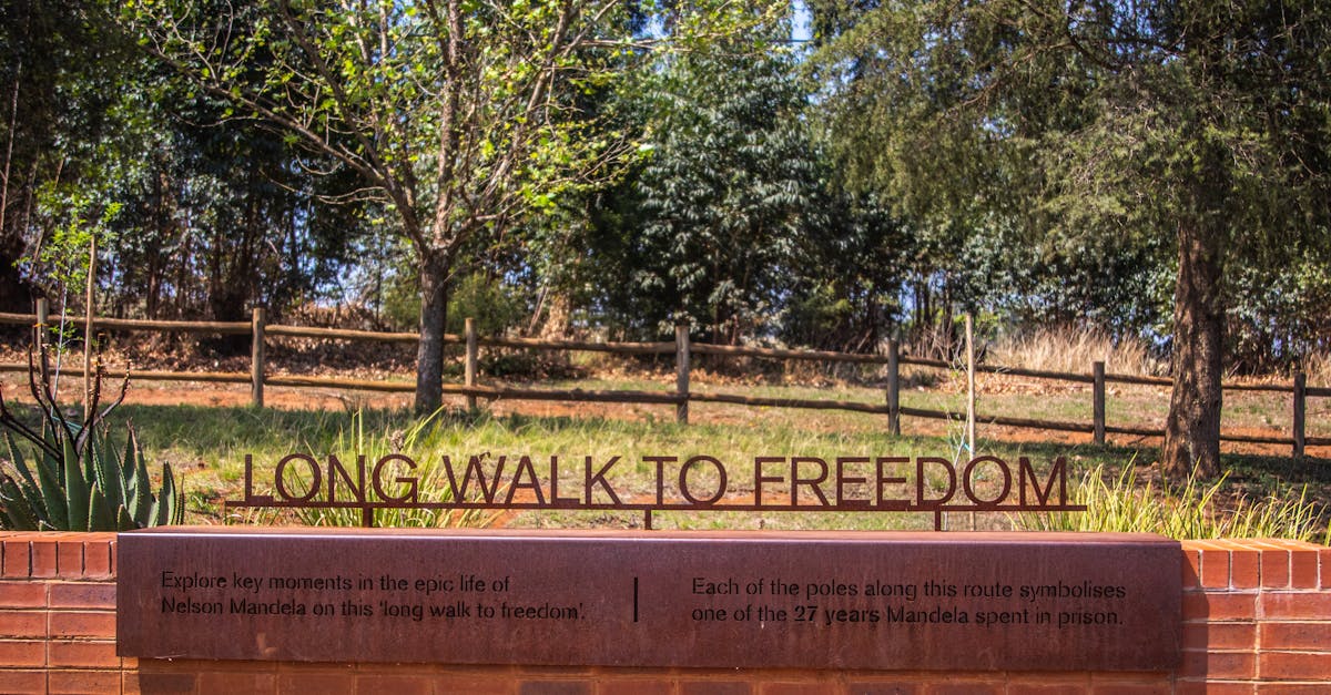Memorial celebrating Nelson Mandela's legacy in a serene park environment.