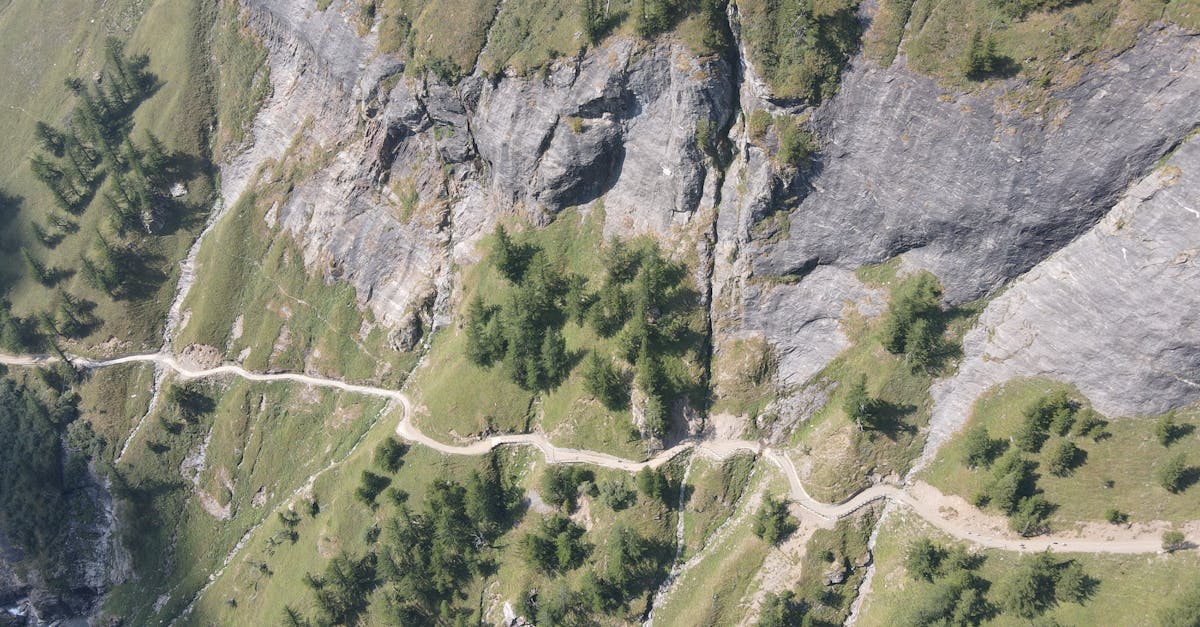 third_section_image_data.image_alt